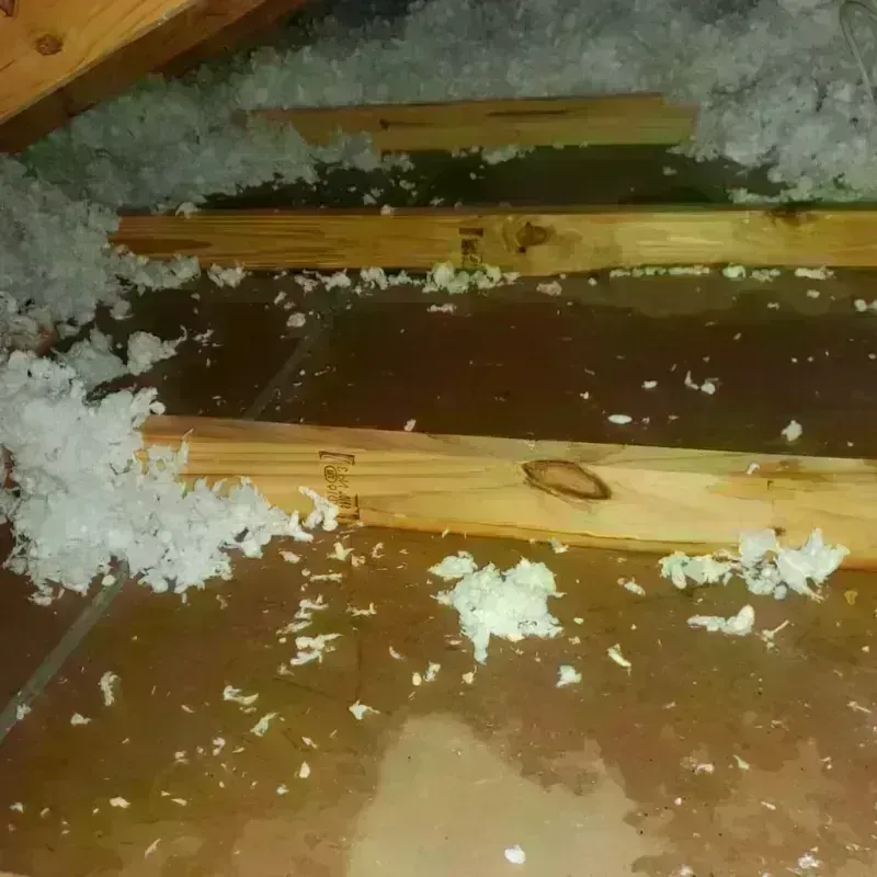 Attic Water Damage in Lyon County, KS