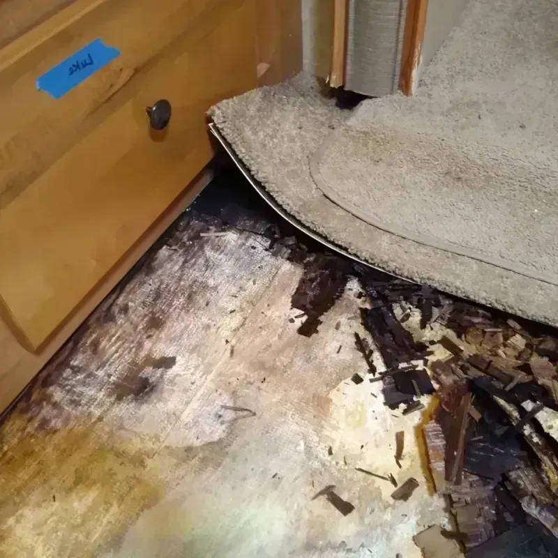 Wood Floor Water Damage in Lyon County, KS